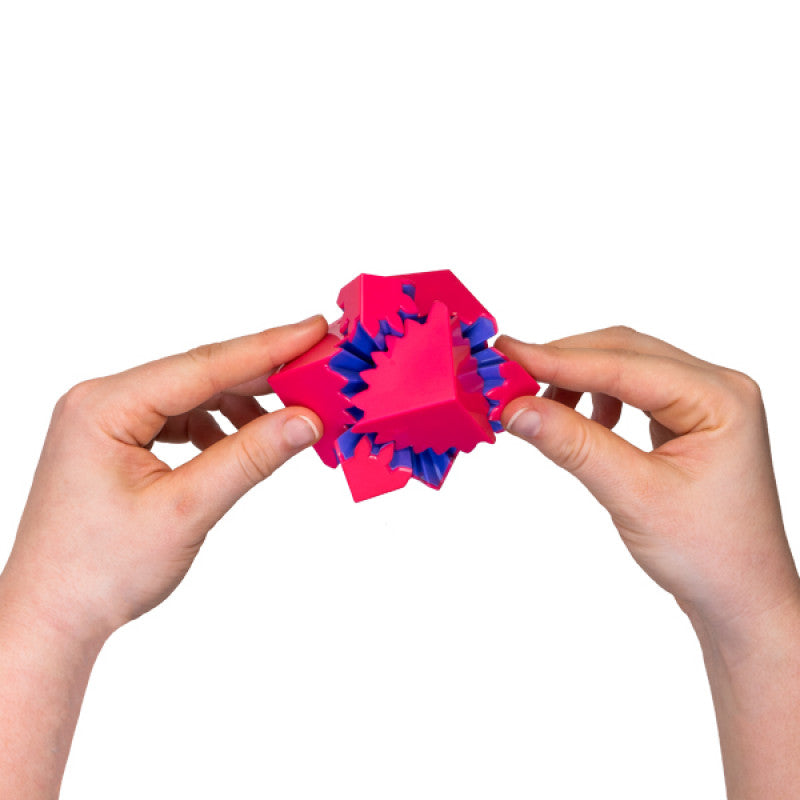 SMALL OT's Choice Fidget Pack