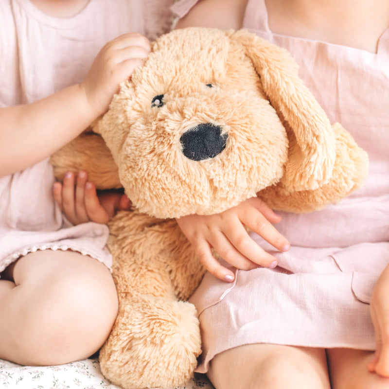 Charlie and Pickles the Weighted Dog and Cat Combo