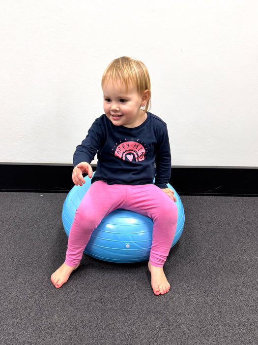 Donut Balance Ball