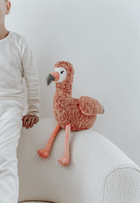 Francesca the Weighted Flamingo