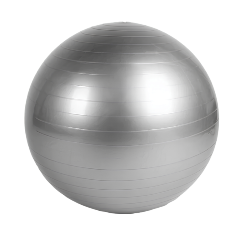 Kids Balance Exercise Ball 55cm with Pump