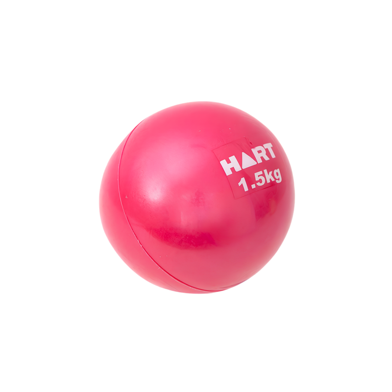 HART Sport Weighted Exercise Balls