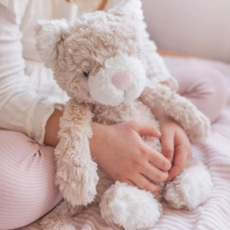 Pickles the Weighted Cat