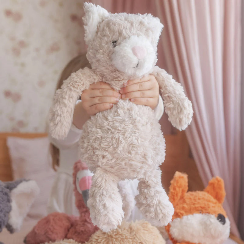 Pickles the Weighted Cat