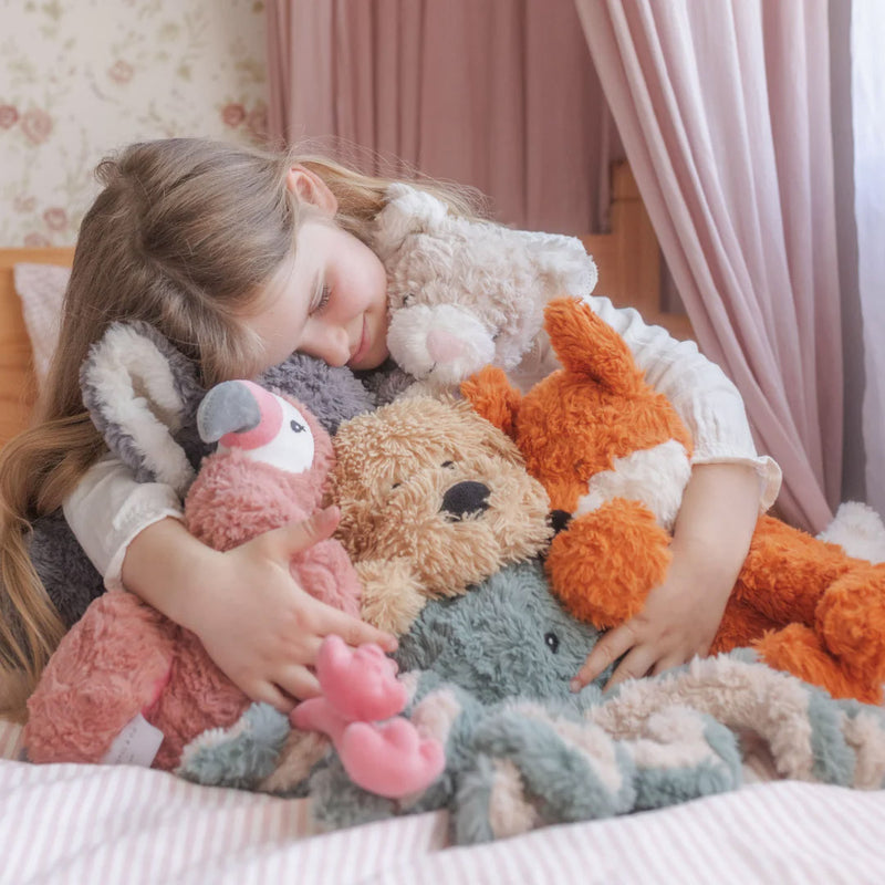 Pickles the Weighted Cat