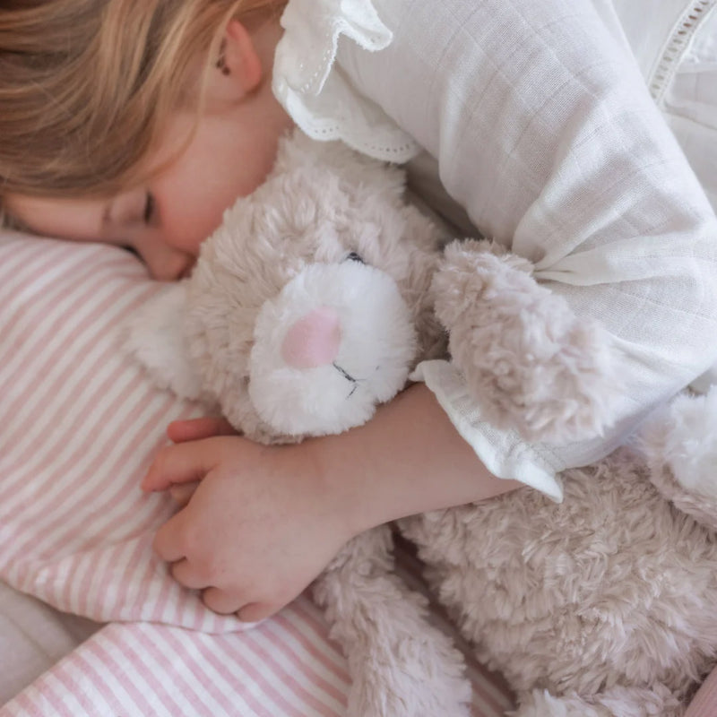 Pickles the Weighted Cat