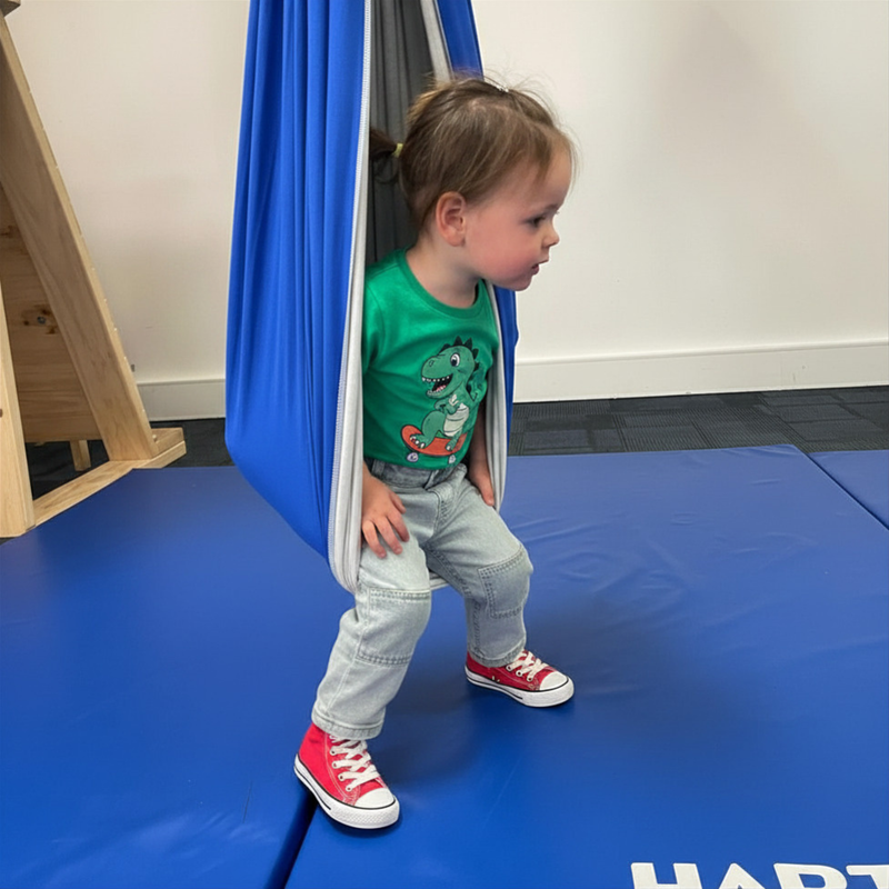 Sensory Swing for Children