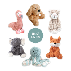 Weighted Buddy Bundle
