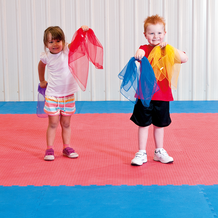 HART Sport Dancing/Juggling Scarves